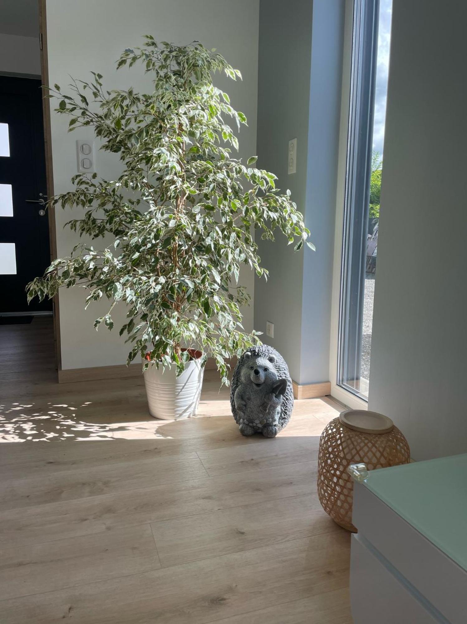 Maison Spacieuse Proche Strasbourg Ostwald Luaran gambar